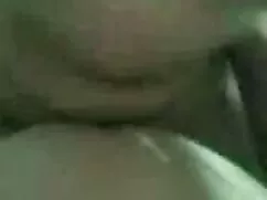 ساقه های ورزشی و ارا ...