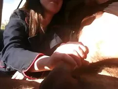 دستیار بزرگ قدیمی به ...