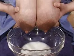 Hahal, گربه پس بهتری ...