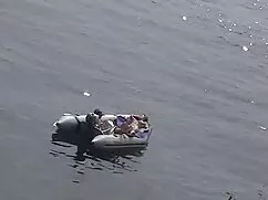 چک دنیس چرب بدن بهتر ...